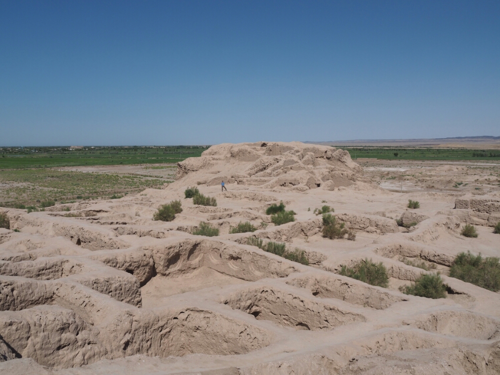 wpid-p7310204.jpg