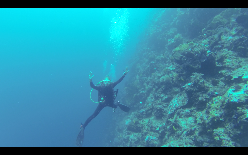 Screenshot_2015-12-05-12-41-51.png image
