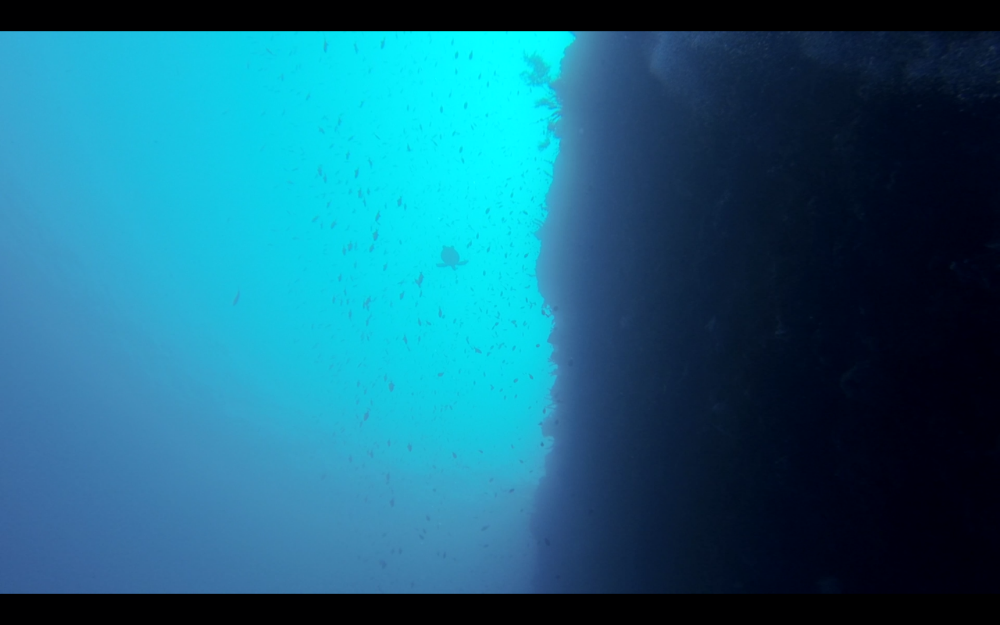 Screenshot_2015-12-05-13-56-52.png image