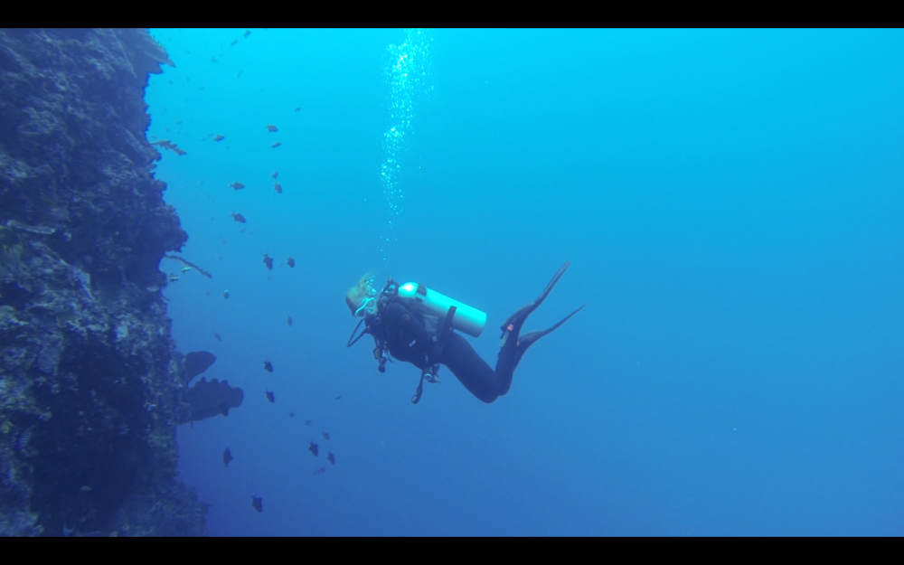Screenshot_2015-12-05-13-59-32.png image