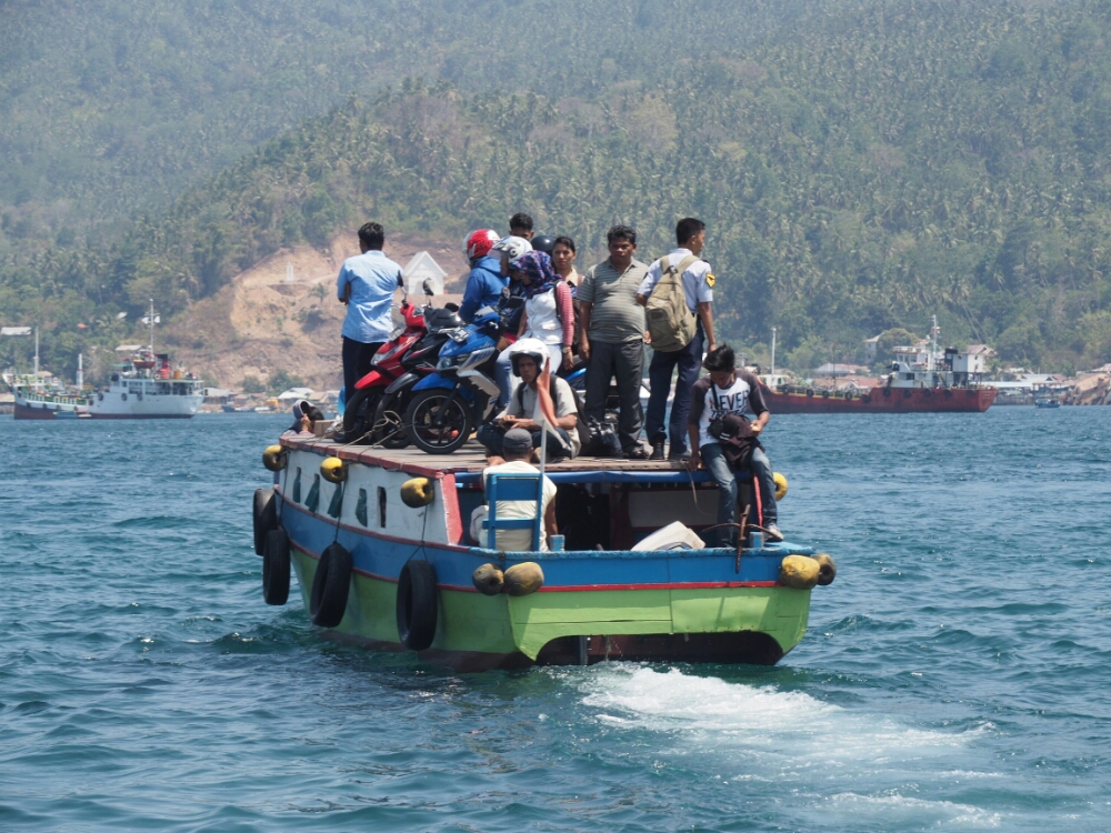 wp-1449652733381 image