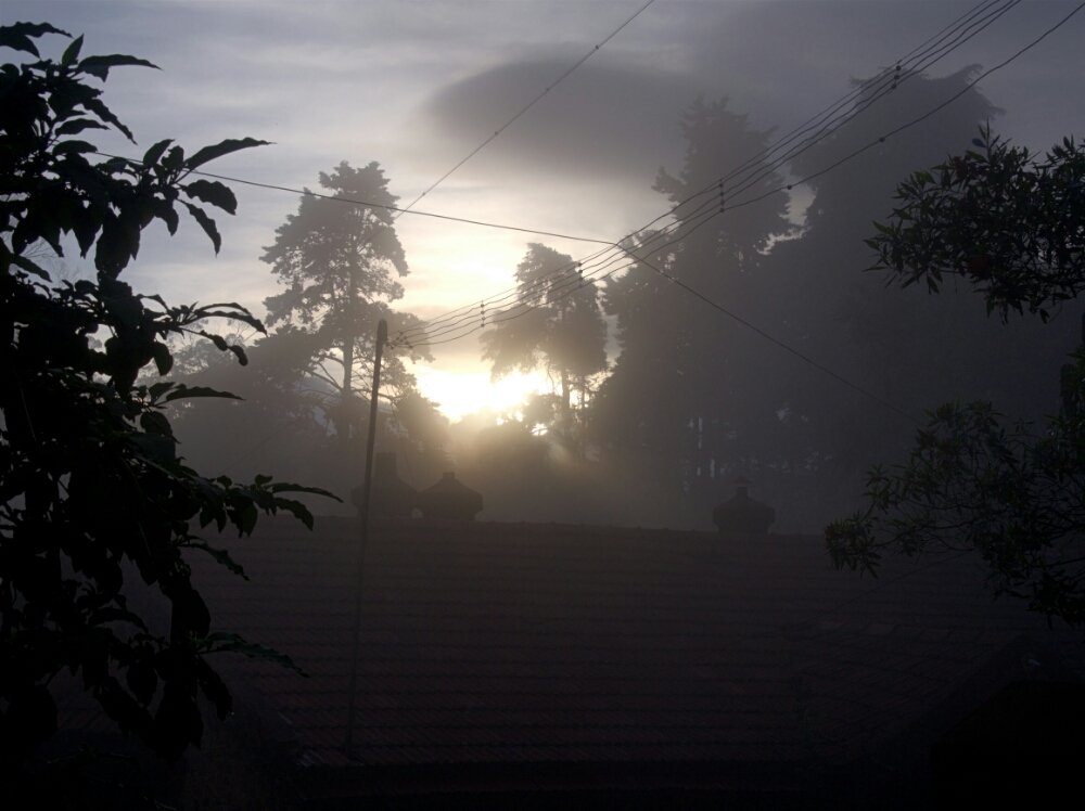 wp-1449985416544 image