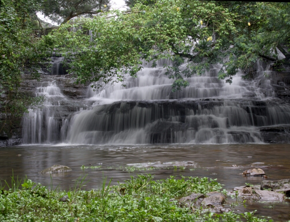 wp-1449985427234 image