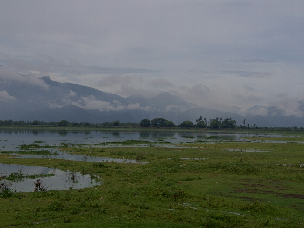 wp-1449985517440 image