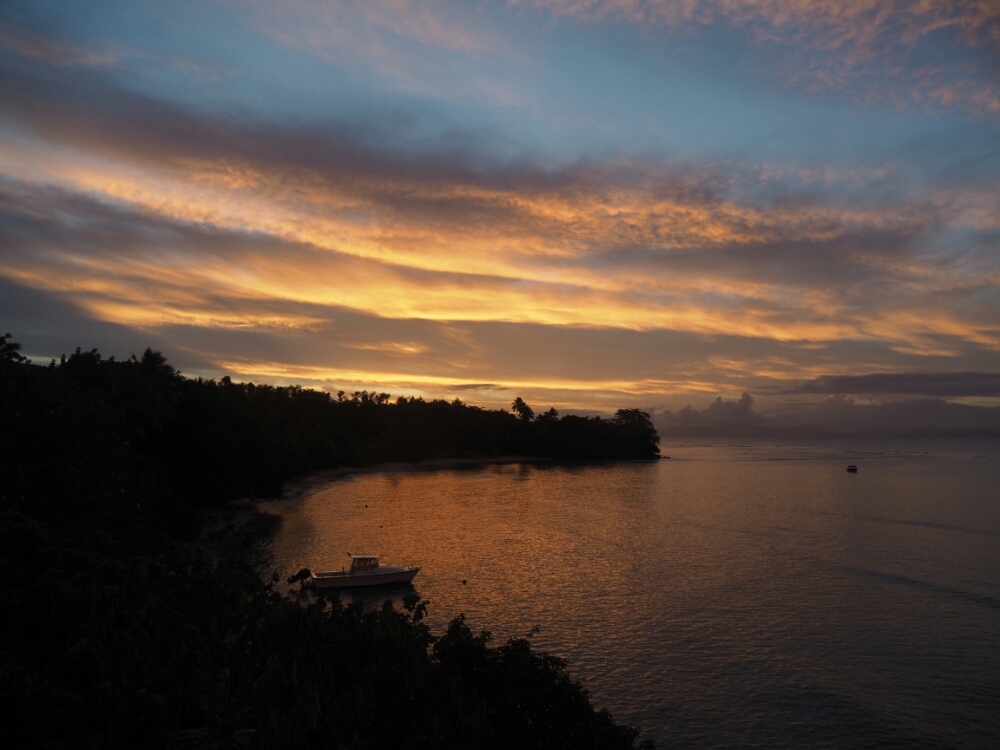 wp-1453606199364 image