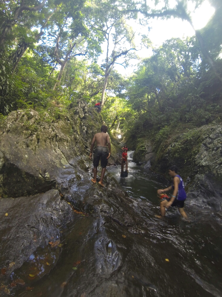 wp-1453606531806 image