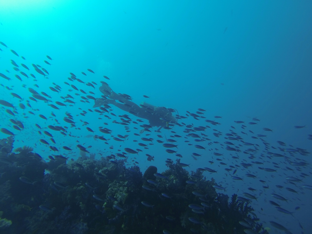wp-1453606953217 image