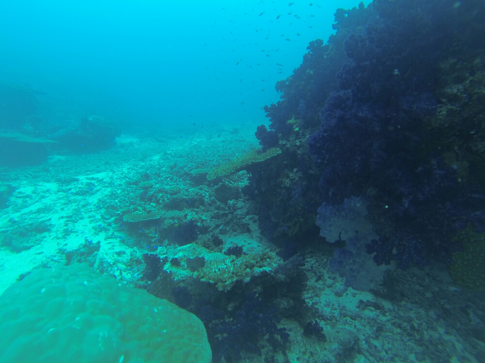 wp-1453607216723 image