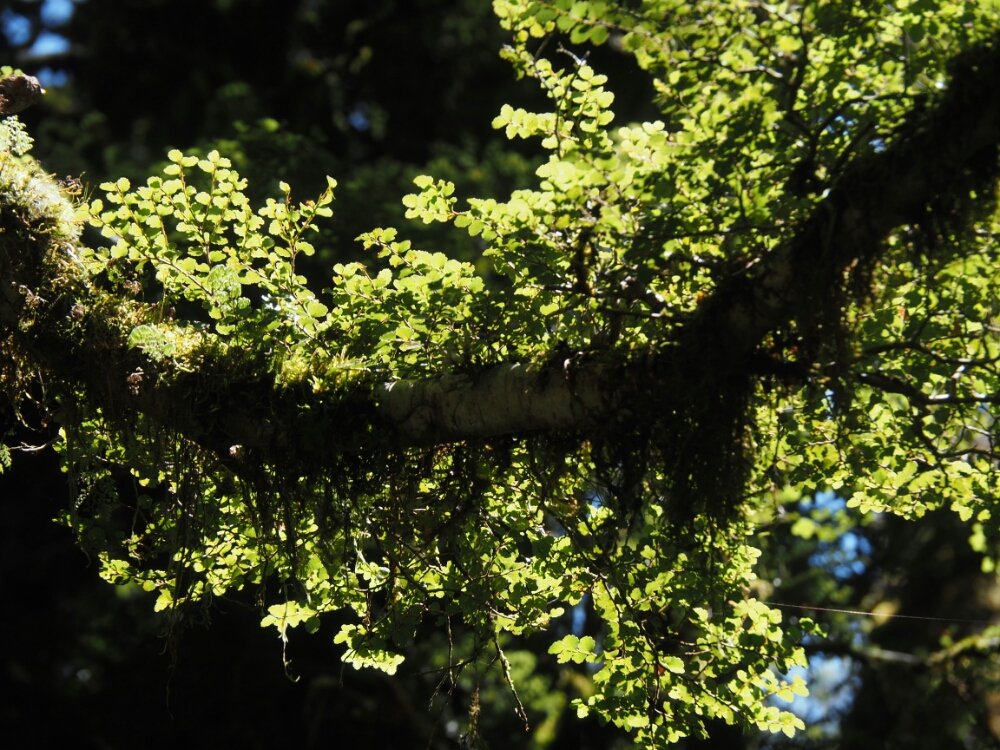 wp-1456626301162 image