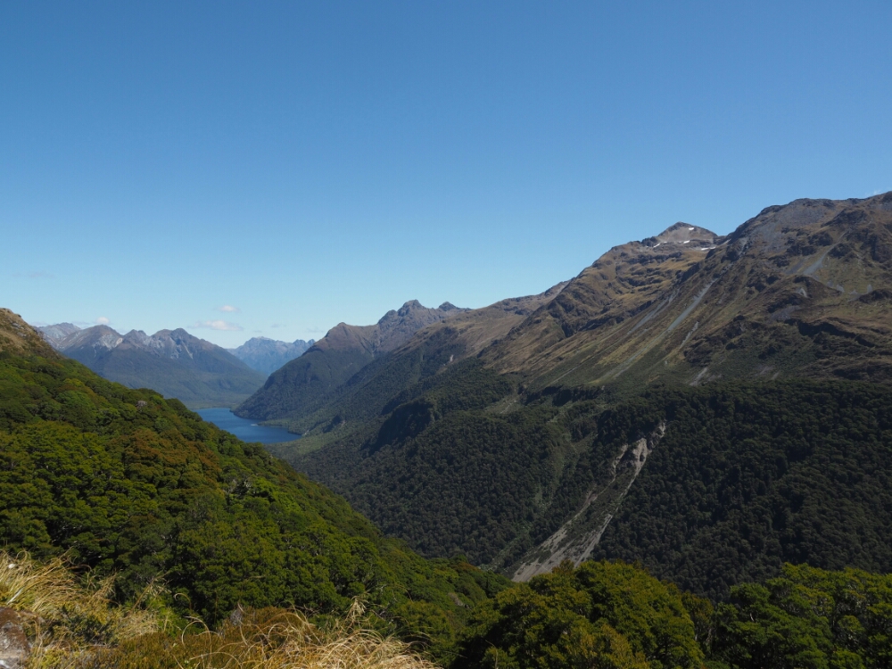 wp-1456626608453 image