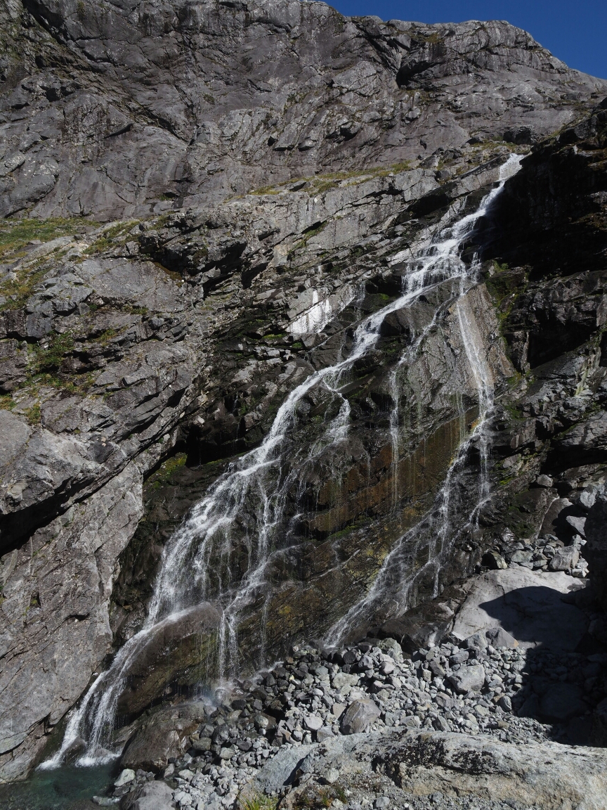 wp-1456627462177 image