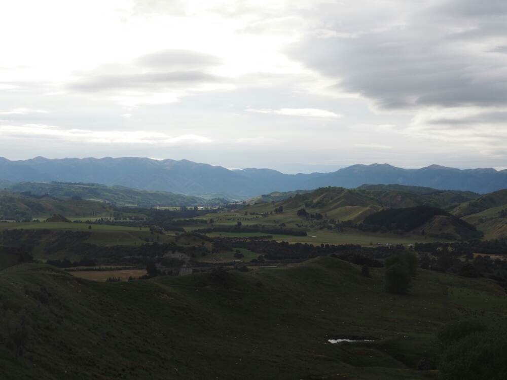 wp-1454814865383 image