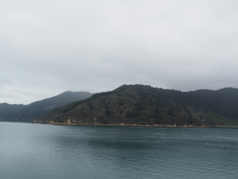 wp-1454815440221 image