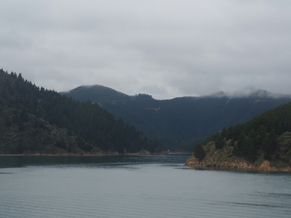 wp-1454815537171 image