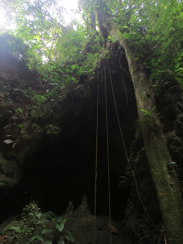 wp-1459990403552 image