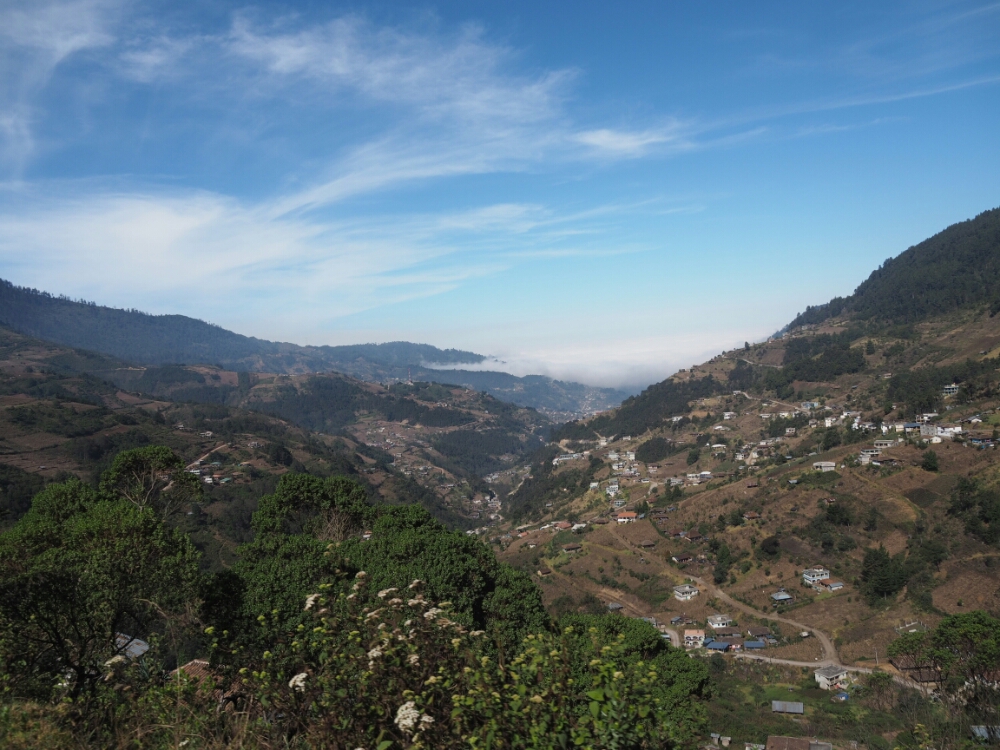 wp-1460865320796 image