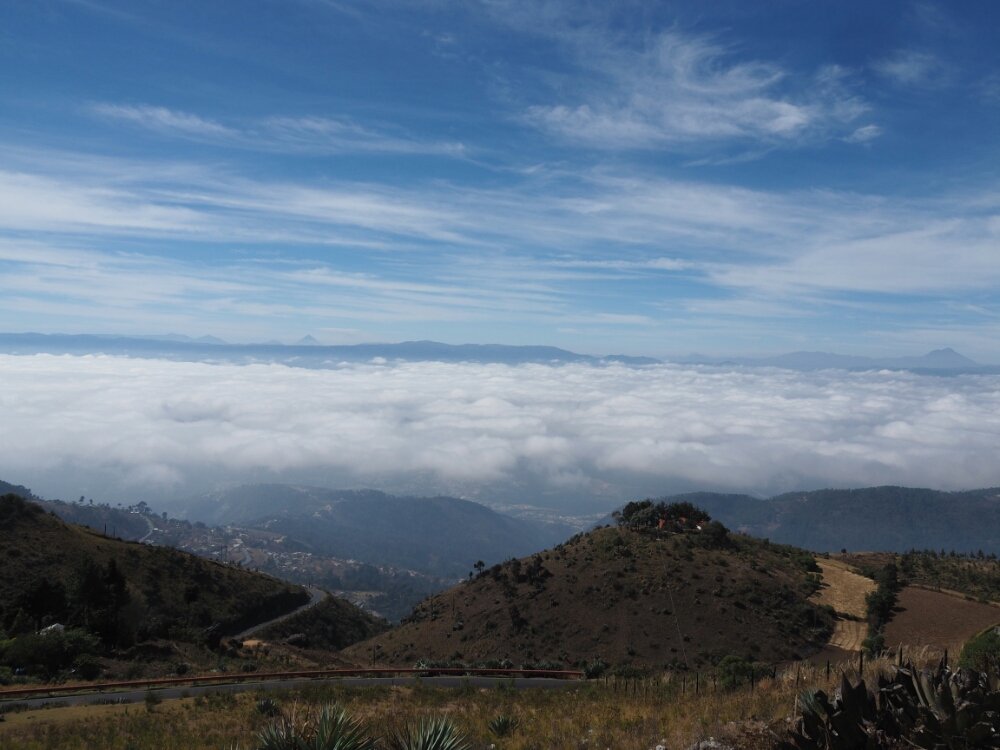 wp-1460865376091 image