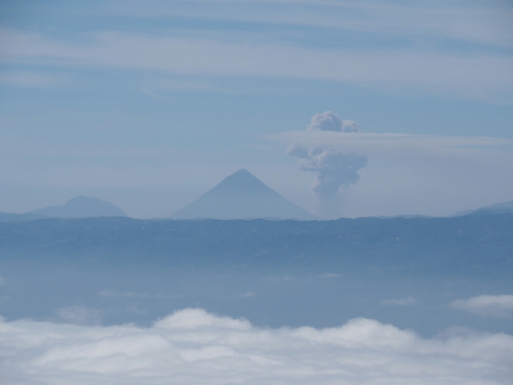 wp-1460865389866 image