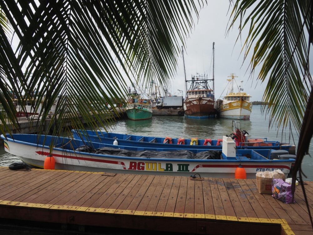 wp-1461283639633 image