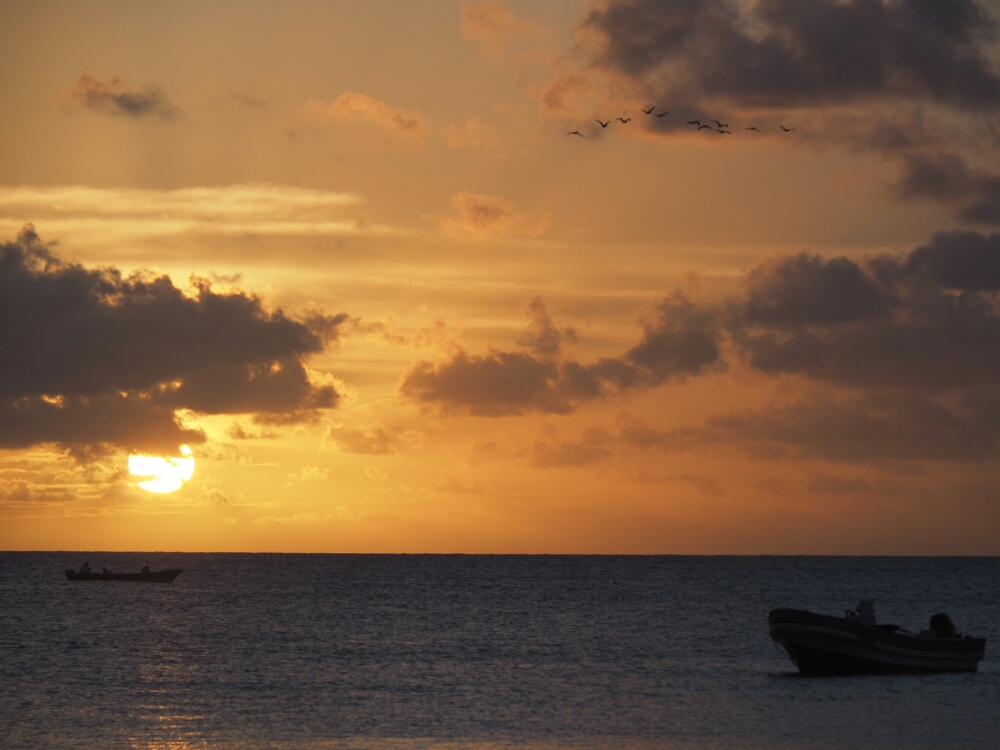 wp-1461284260782 image