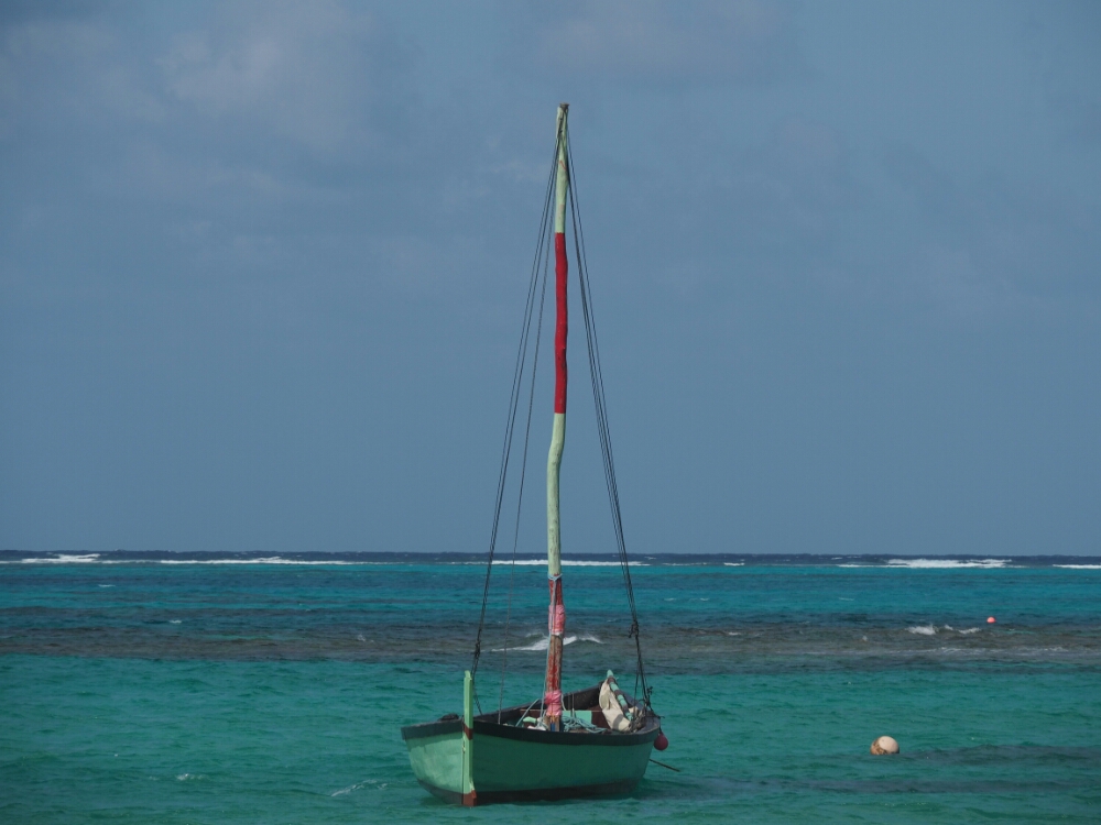 wp-1461284509050 image