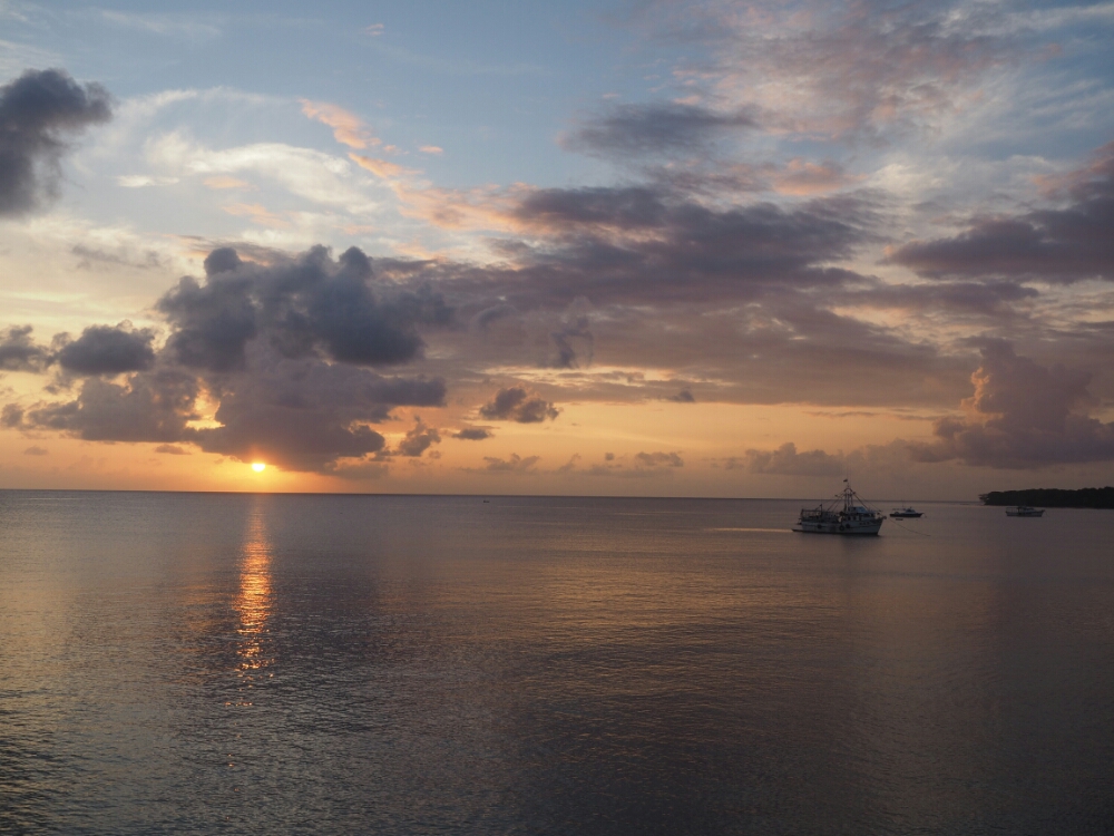 wp-1461284813346 image