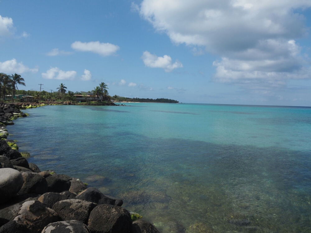 wp-1461285936165 image