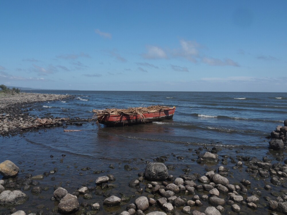 wp-1461719831486 image