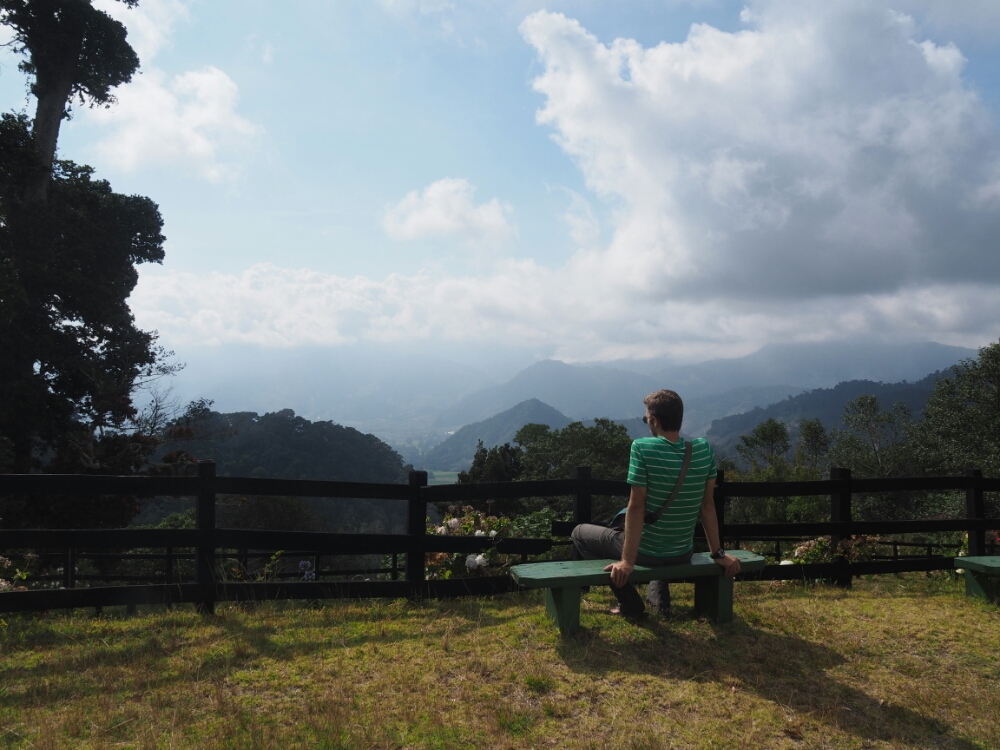 wp-1461806015931 image