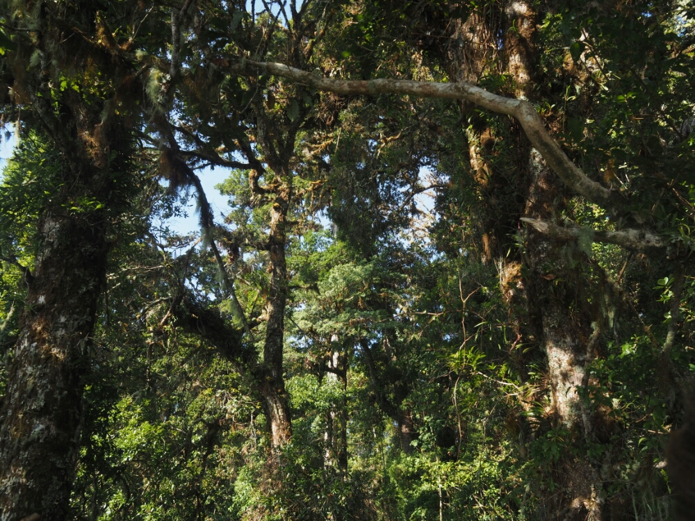 wp-1461806368032 image