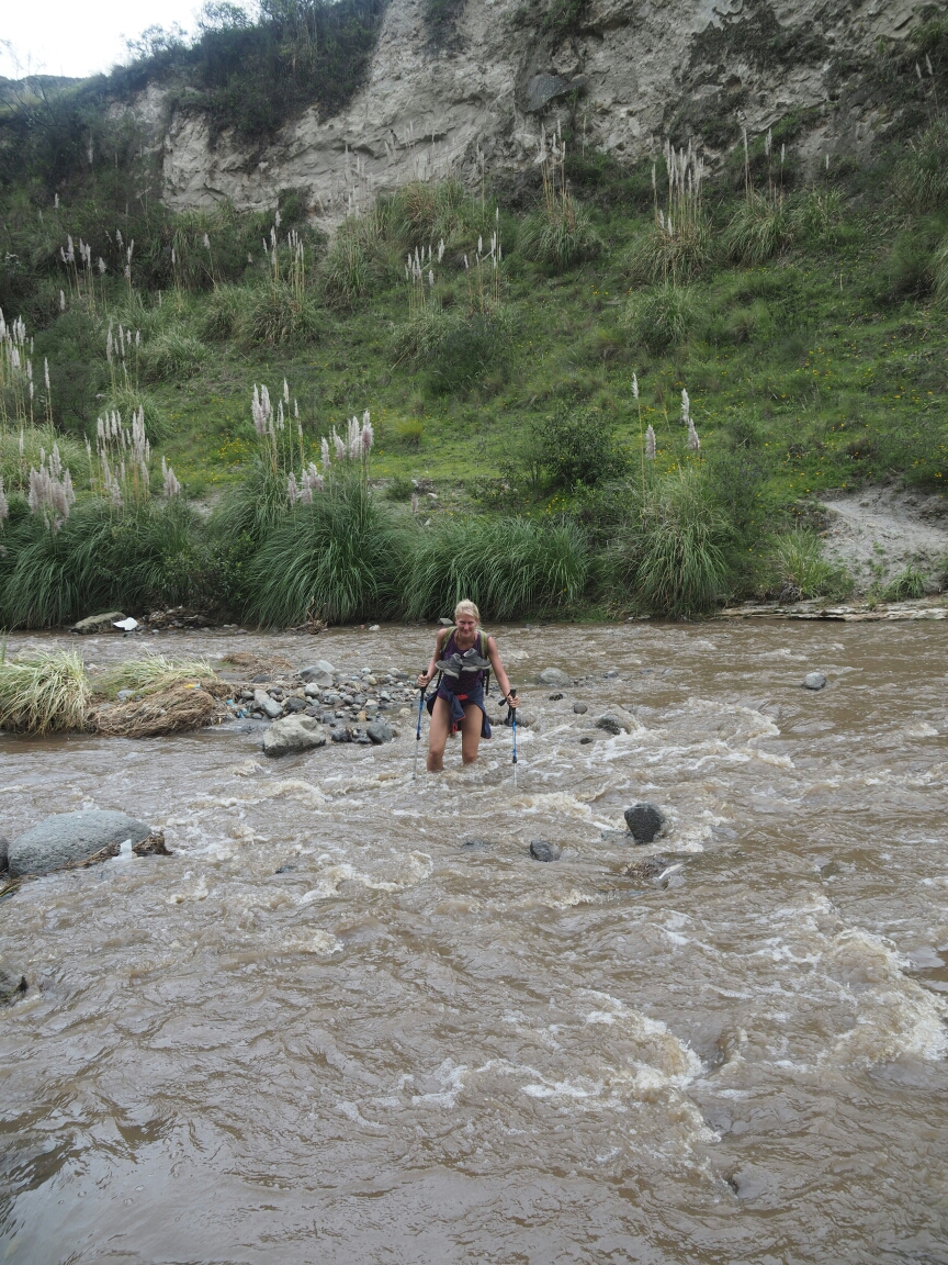 wp-1463370731607 image