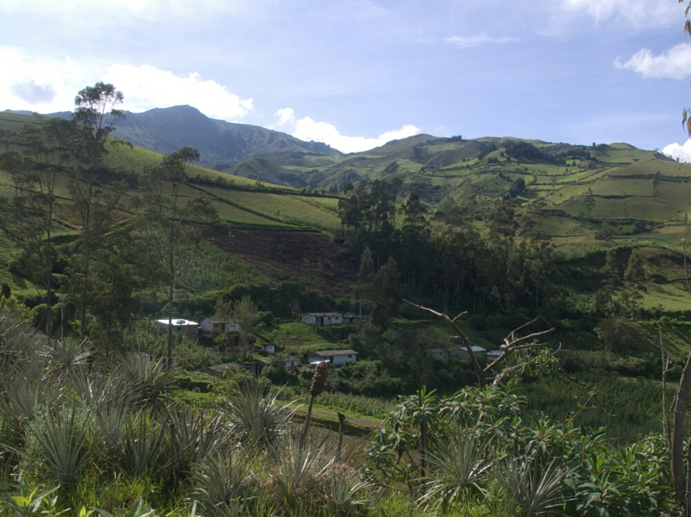 wp-1464126841437 image