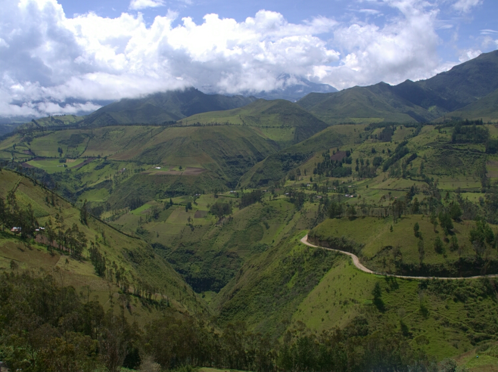 wp-1464126863586 image