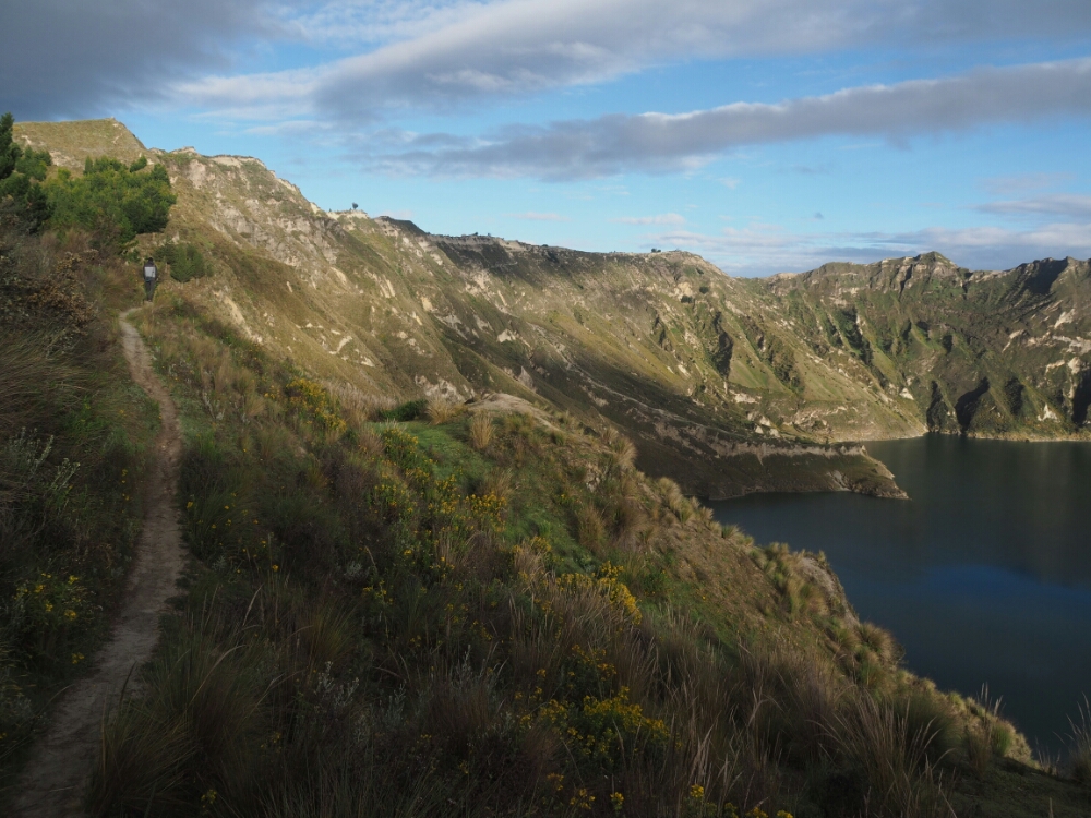 wp-1464127030041 image