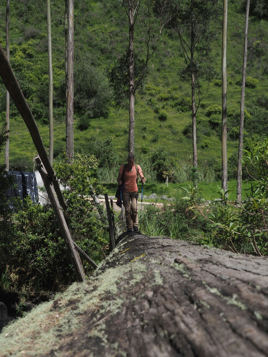 wp-1464128820075 image