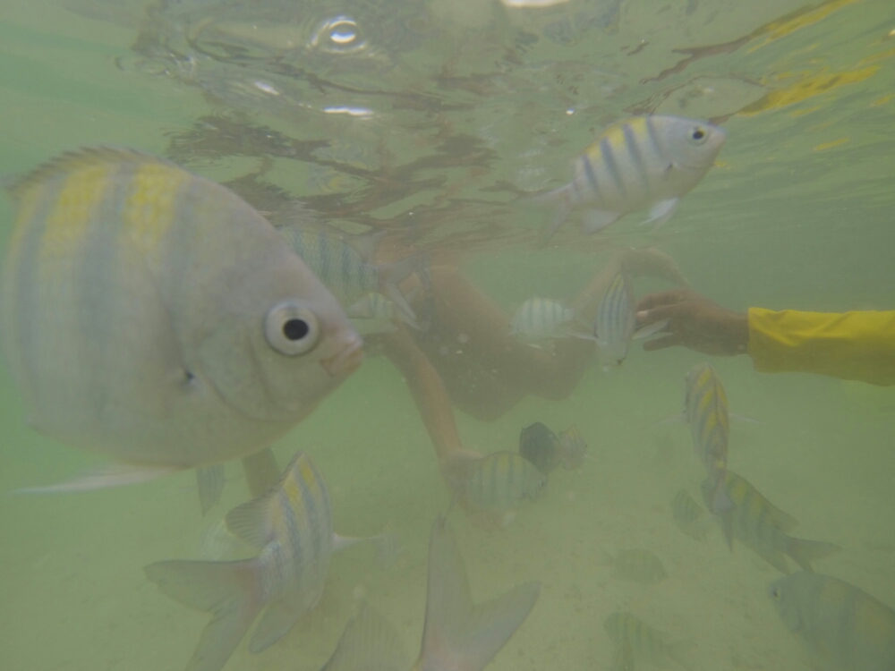 GOPR3228.JPG image