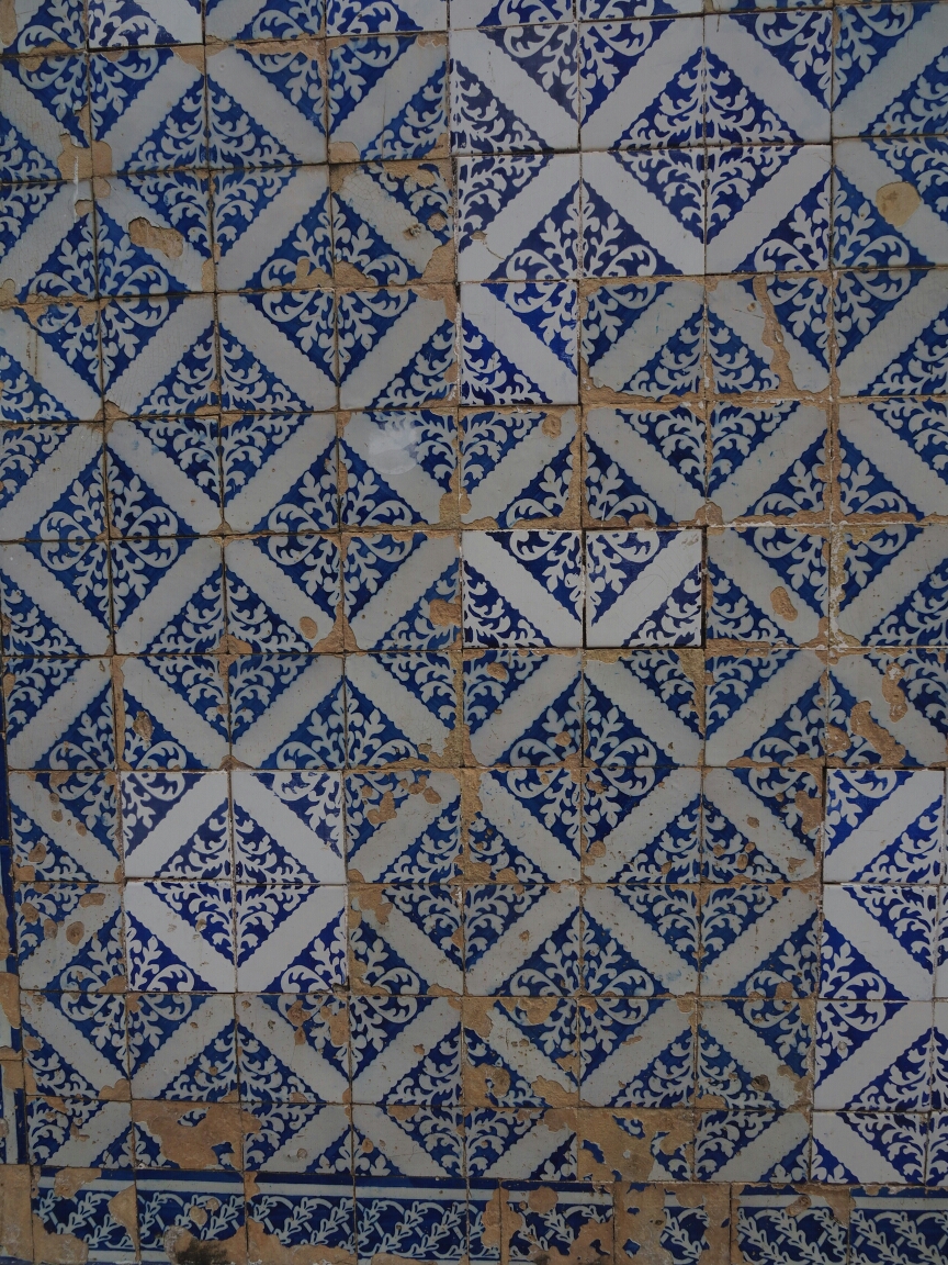 P5250324.JPG image